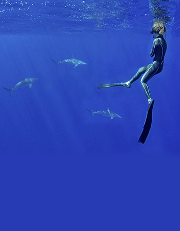 Gador Muntaner Sharks Specialist and Blue Force Fleet Ambassador
