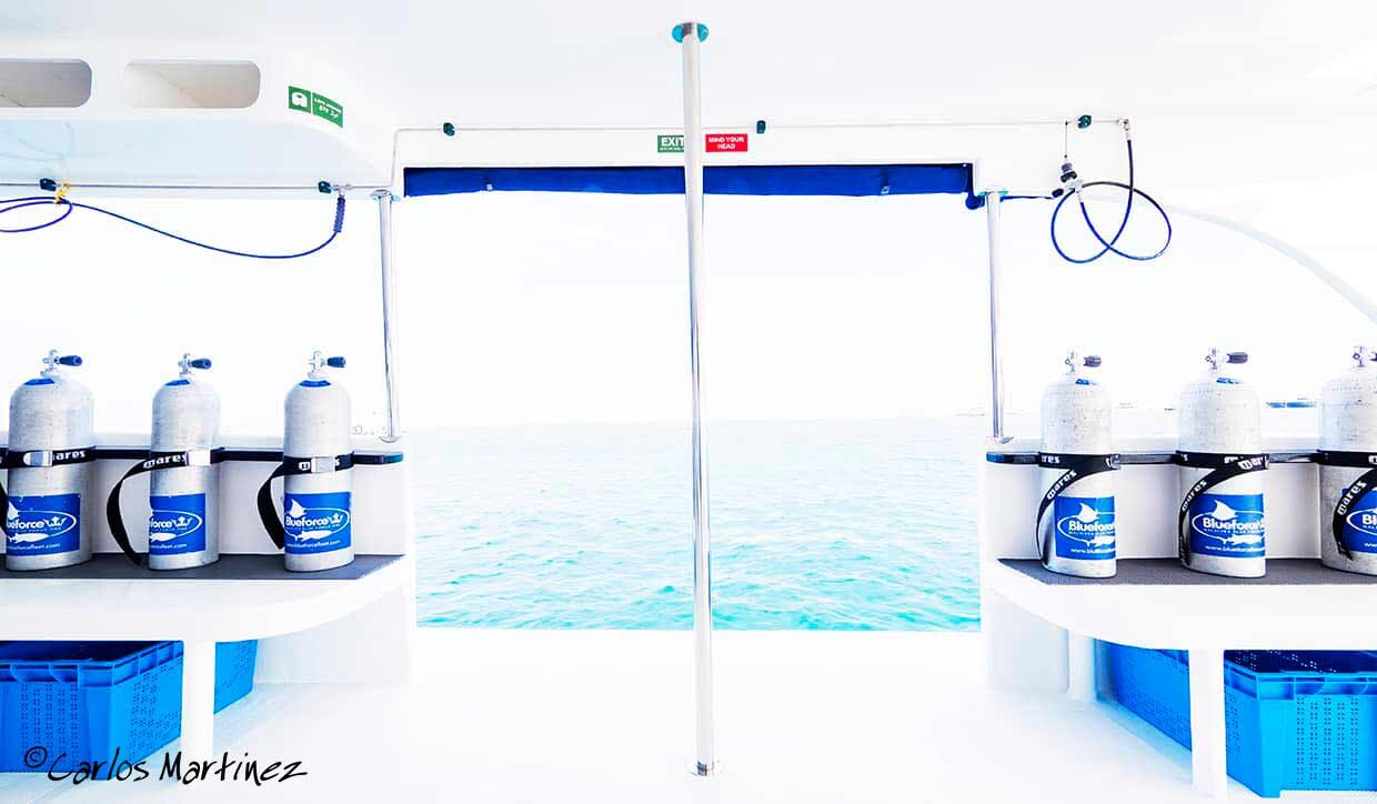 Maldives Blue Force 3 liveaboard auxiliary boat door